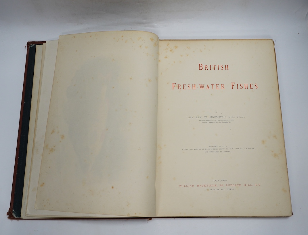 Houghton, Rev. W. - British Freshwater Fishes. 2 vols. 41 coloured plates (by A.F. Lydon) in naturalistic settings and engraved text illus.; original gilt pictorial and black decorated cloth, ge., folio. (1879)